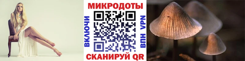 даркнет Telegram  Волоколамск  Псилоцибиновые грибы Magic Shrooms  сколько стоит 